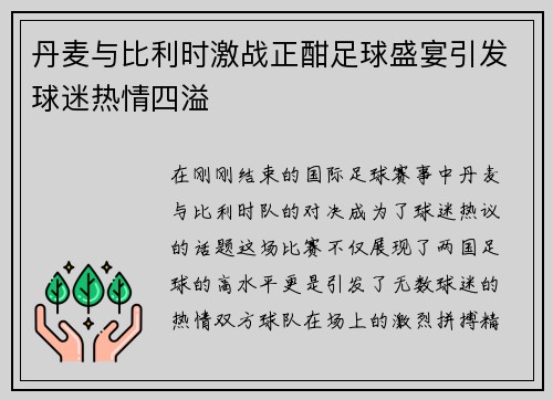 丹麦与比利时激战正酣足球盛宴引发球迷热情四溢